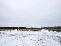 NL, Noord-Holland, Gooise Meren, Bussum, Bussumerheide 2, Saxifraga-Bart Vastenhouw