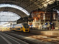 NL, Noord-Holland, Haarlem 4, Saxifraga-Foto Fitis-Sytske Dijksen