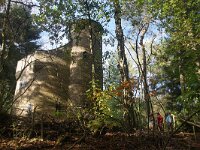 NL, Noord-Holland, Hilversum, Wolfsdreuvik 1, Saxifraga-Sytske Dijksen