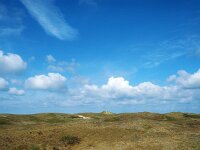 NL, Noord-Holland, Schagen, Zwanenwater 1, Saxifraga-Hans Dekker
