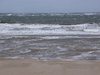 NL, Noord-Holland, Rising tide, Texel 112, Saxifraga-Foto Fitis-Sytske Dijksen