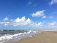 NL, Noord-Holland, Texel 20, Saxifraga-Bart Vastenhouw