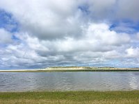 NL, Noord-Holland, Texel 21, Saxifraga-Bart Vastenhouw