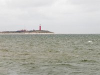 NL, Noord-Holland, Texel 23, Saxifraga-Bart Vastenhouw