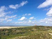 NL, Noord-Holland, Texel 39, Saxifraga-Bart Vastenhouw