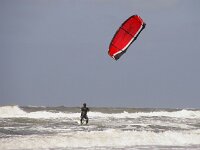 NL, Noord-Holland, Texel 54 Saxifraga-Foto Fitis-Sytske Dijksen
