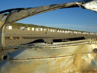 NL, Noord-Holland, Texel 60, Saxifraga-Foto Fitis-Sytske Dijksen