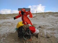 NL, Noord-Holland, Texel 69, Saxifraga-Foto Fitis-Sytske Dijksen