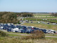 NL, Noord-Holland, Texel 80, Saxifraga-Foto Fitis-Sytske Dijksen