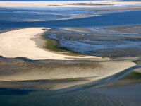 NL, Noord-Holland, Texel 95, Saxifraga-Foto Fitis-Sytske Dijksen