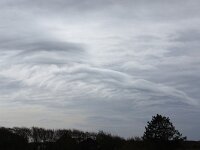 NL, Noord-Holland, Texel, Altocumulus undulatus, Ruige Hoek 5, Saxifraga-Foto Fitis-Sytske Dijksen