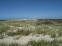 NL, Noord-Holland, Texel, Bertusnol 2, Saxifraga-Willem van Kruijsbergen