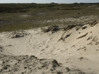 NL, Noord-Holland, Texel, Bollekamer 14, Saxifraga-Jan van der Straaten