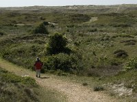 NL, Noord-Holland, Texel, Bollekamer 25, Saxifraga-Jan van der Straaten