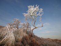 NL, Noord-Holland, Texel, Bollekamer 3, Foto Fitis-Sytske Dijksen