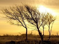 NL, Noord-Holland, Texel, Bollekamer 4, Foto Fitis-Sytske Dijksen