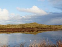 NL, Noord-Holland, Texel, Bollekamer 53, Saxifraga-Foto Fitis-Sytske Dijksen