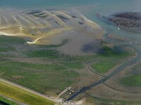 NL, Noord-Holland, Texel, De Cocksdorp 52, Saxifraga-Foto Fitis-Sytske Dijksen