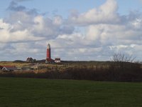 NL, Noord-Holland, Texel, De Cocksdorp 6, Saxifraga-Jan Nijendijk