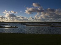 NL, Noord-Holland, Texel, De Cocksdorp 8, HVP, Saxifraga-Jan Nijendijk