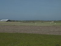 NL, Noord-Holland, Texel, De Eendracht 1, Saxifraga-Willem van Kruijsbergen