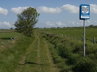 NL, Noord-Holland, Texel, De Hooge Berg 1, Saxifraga-Jan van der Straaten