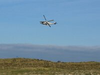 NL, Noord-Holland, Texel, De Hors 121, Saxifraga-Foto Fitis-Sytske Dijksen