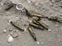 NL, Noord-Holland, Texel, De Hors 136, Saxifraga-Foto Fitis-Sytske Dijksen