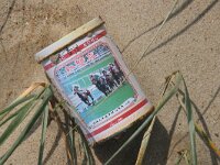 NL, Noord-Holland, Texel, De Hors 156, Saxifraga-Foto Fitis-Sytske Dijksen