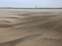 NL, Noord-Holland, Texel, De Hors 171, Saxifraga-Foto Fitis-Sytske Dijksen