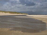 NL, Noord-Holland, Texel, De Hors 194, Saxifraga-Foto Fitis-Sytske Dijksen