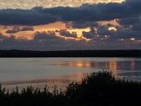 NL, Noord-Holland, Texel, De Horsmeertjes 12, Saxifraga-Foto Fitis-Sytske Dijksen