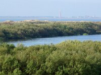 NL, Noord-Holland, Texel, De Horsmeertjes 18, Saxifraga-Foto Fitis-Sytske Dijksen