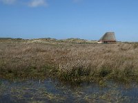 NL, Noord-Holland, Texel, De Muy 23, Saxifraga-Willem van Kruijsbergen