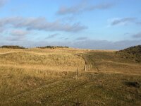 NL, Noord-Holland, Texel, De Muy 36, Saxifraga-Foto Fitis-Sytske Dijksen