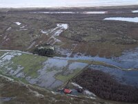 NL, Noord-Holland, Texel, De Muy 43, Saxifraga-Foto Fitis-Sytske Dijksen