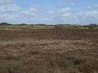 NL, Noord-Holland, Texel, De Muy 9, Saxifraga-Willem van Kruijsbergen