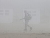NL, Noord-Holland, Texel, De Slufter 140, Saxifraga-Foto Fitis-Sytske Dijksen
