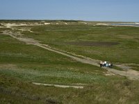 NL, Noord-Holland, Texel, De Slufter 40, Saxifraga-Jan van der Straaten