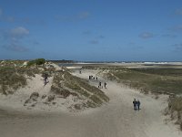 NL, Noord-Holland, Texel, De Slufter 53, Saxifraga-Willem van Kruijsbergen