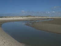 NL, Noord-Holland, Texel, De Slufter 66, Saxifraga-Willem van Kruijsbergen