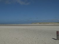 NL, Noord-Holland, Texel, De Slufter 68, Saxifraga-Willem van Kruijsbergen