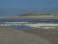 NL, Noord-Holland, Texel, De Slufter 77, Saxifraga-Willem van Kruijsbergen