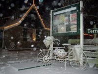 NL, Noord-Holland, Texel, Den Hoorn 20, Saxifraga-Foto Fitis-Sytske Dijksen