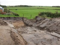NL, Noord-Holland, Texel, Doolhof 2, Saxifraga-Foto Fitis-Sytske Dijksen
