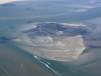 NL, Noord-Holland, Texel, Eierlandse Gat 10, Saxifraga-Foto Fitis-Sytske Dijksen