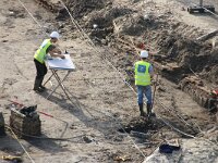 NL, Noord-Holland, Texel, Groene Plaats 4, Saxifraga-Foto Fitis-Sytske Dijksen
