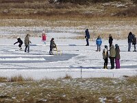 NL, Noord-Holland, Texel, Groote Vlak 11, Saxifraga-Foto Fitis-Sytske Dijksen