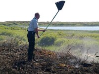 NL, Noord-Holland, Texel, Horsmeer 7, Saxifraga-Foto Fitis-Sytske Dijksen