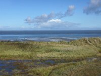 NL, Noord-Holland, Texel, Kwelder de Volharding 1, Saxifraga-Foto Fitis-Sytske Dijksen